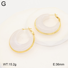 2E4005055ablb-434  Stainless Steel Earrings