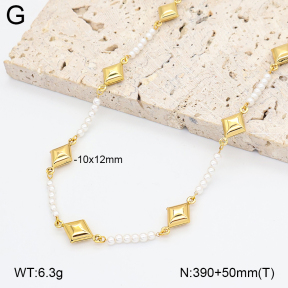 2N3003364bhia-434  Stainless Steel Necklace