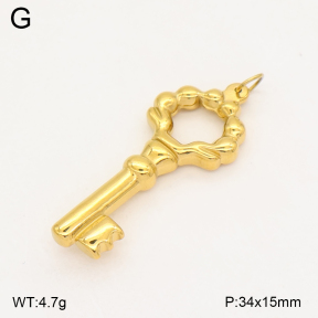 2P2005982ablb-367  Stainless Steel Pendant