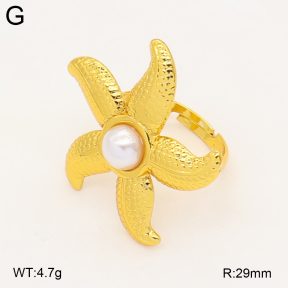 2R3000428avja-434  Stainless Steel Ring