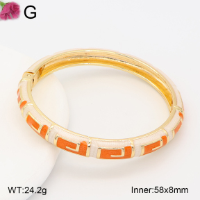 F2BA30125vbnb-J119  Fashion Bangle