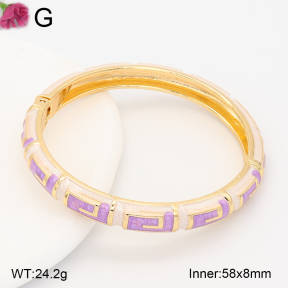 F2BA30126vbnb-J119  Fashion Bangle