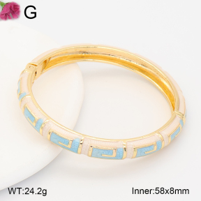 F2BA30127vbnb-J119  Fashion Bangle