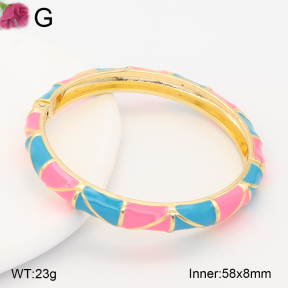 F2BA30128vbnb-J119  Fashion Bangle