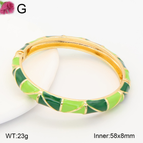 F2BA30129vbnb-J119  Fashion Bangle