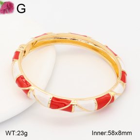 F2BA30130vbnb-J119  Fashion Bangle