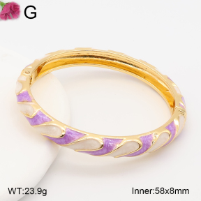 F2BA30135vbnb-J119  Fashion Bangle