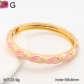 F2BA30136vbnb-J119  Fashion Bangle