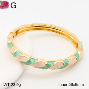 F2BA30137vbnb-J119  Fashion Bangle