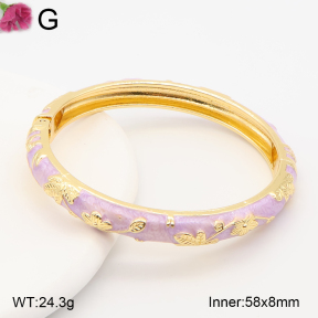 F2BA30140vbnb-J119  Fashion Bangle