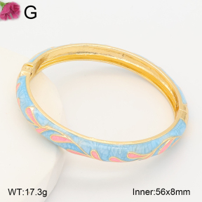 F2BA30150vbnb-J119  Fashion Bangle