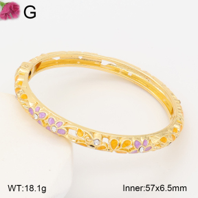 F2BA30155vbnb-J119  Fashion Bangle