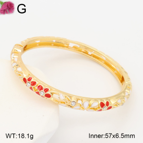 F2BA30156vbnb-J119  Fashion Bangle
