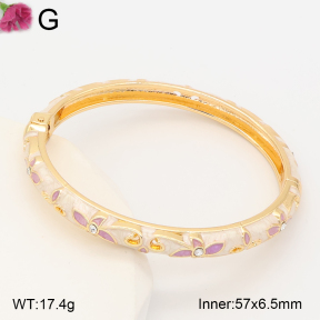 F2BA30158vbnb-J119  Fashion Bangle