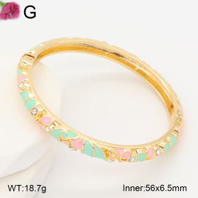 F2BA30163vbnb-J119  Fashion Bangle