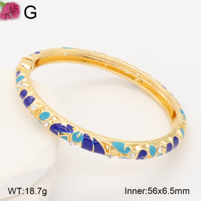F2BA30164vbnb-J119  Fashion Bangle
