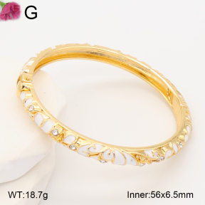 F2BA30165vbnb-J119  Fashion Bangle