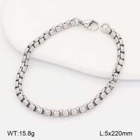 2B2005357vaia-774  Stainless Steel Bracelet