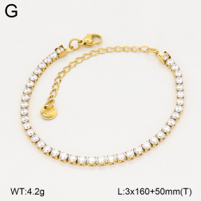 2B4005795vbpb-774  Stainless Steel Bracelet