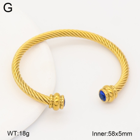 2BA402846bhbl-774  Stainless Steel Bangle