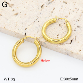2E2006864vbpb-774  Stainless Steel Earrings
