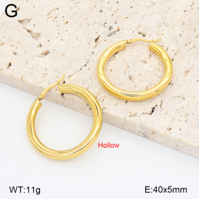 2E2006865bvpl-774  Stainless Steel Earrings
