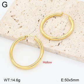2E2006866bhva-774  Stainless Steel Earrings