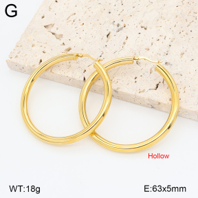 2E2006867vhha-774  Stainless Steel Earrings
