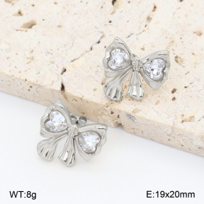 2E4005010vbpb-774  Stainless Steel Earrings