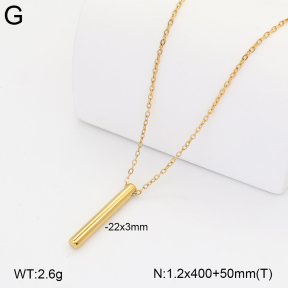 2N2008594aakl-749  Stainless Steel Necklace