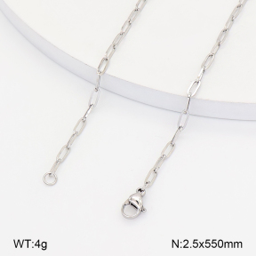 2N2008617aaik-774  Stainless Steel Necklace