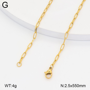 2N2008624aajp-774  Stainless Steel Necklace