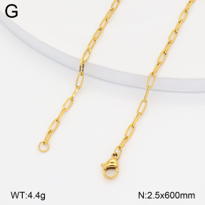 2N2008625aaki-774  Stainless Steel Necklace