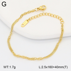 2B2005419baka-775  Stainless Steel Bracelet