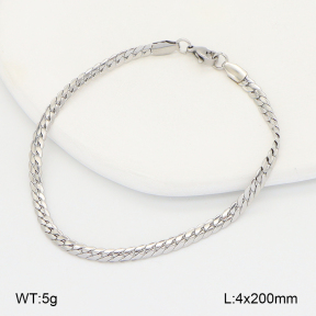 2B2005452aajl-775  Stainless Steel Bracelet