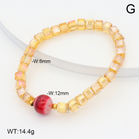 2B4005669ablb-212  Stainless Steel Bracelet
