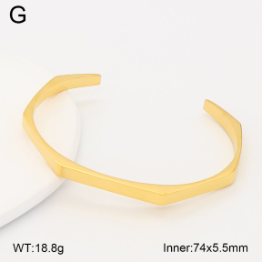2BA202649bhia-749  Stainless Steel Bangle