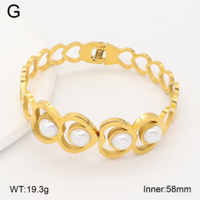 2BA300666vbpb-749  Stainless Steel Bangle
