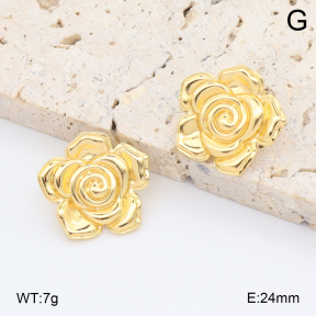 2E2006720ablb-212  Stainless Steel Earrings