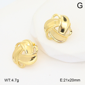 2E2006722ablb-212  Stainless Steel Earrings
