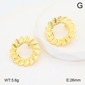 2E2006723ablb-212  Stainless Steel Earrings