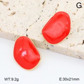 2E3003994vbmb-212  Stainless Steel Earrings