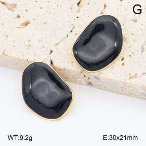 2E3003995vbmb-212  Stainless Steel Earrings