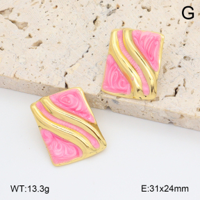 2E3003997vbmb-212  Stainless Steel Earrings