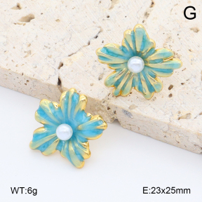 2E3004000vbmb-212  Stainless Steel Earrings