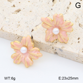2E3004001vbmb-212  Stainless Steel Earrings
