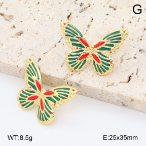 2E3004003bbov-212  Stainless Steel Earrings