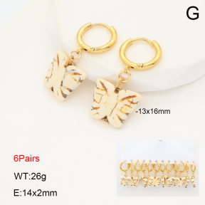 2E3004010ajvb-212  Stainless Steel Earrings