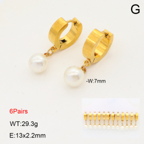 2E3004011vina-212  Stainless Steel Earrings
