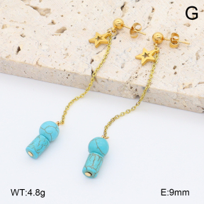 2E4004937bbov-212  Stainless Steel Earrings